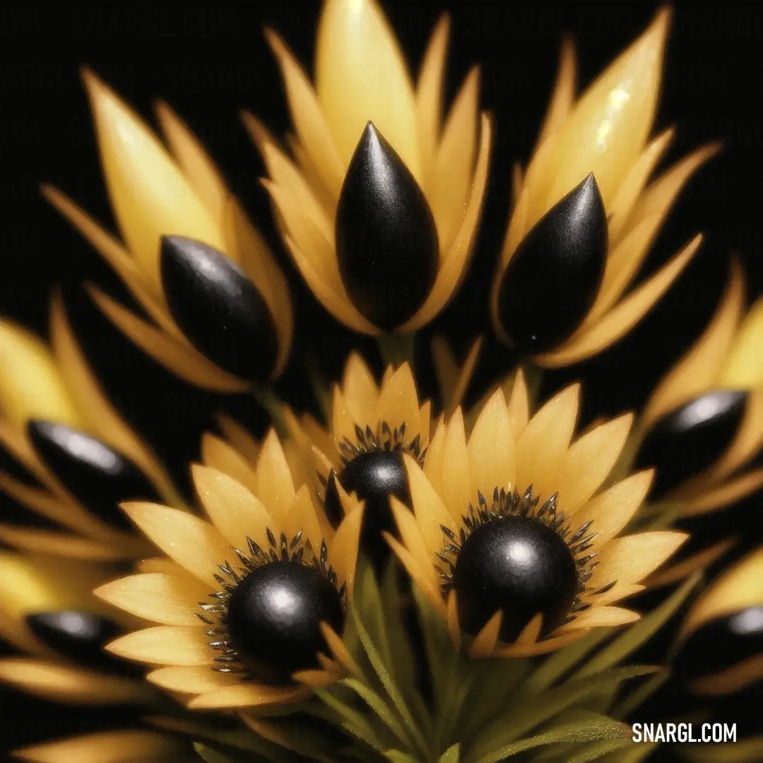 Close up of a bunch of flowers with black petals and yellow petals on a black background