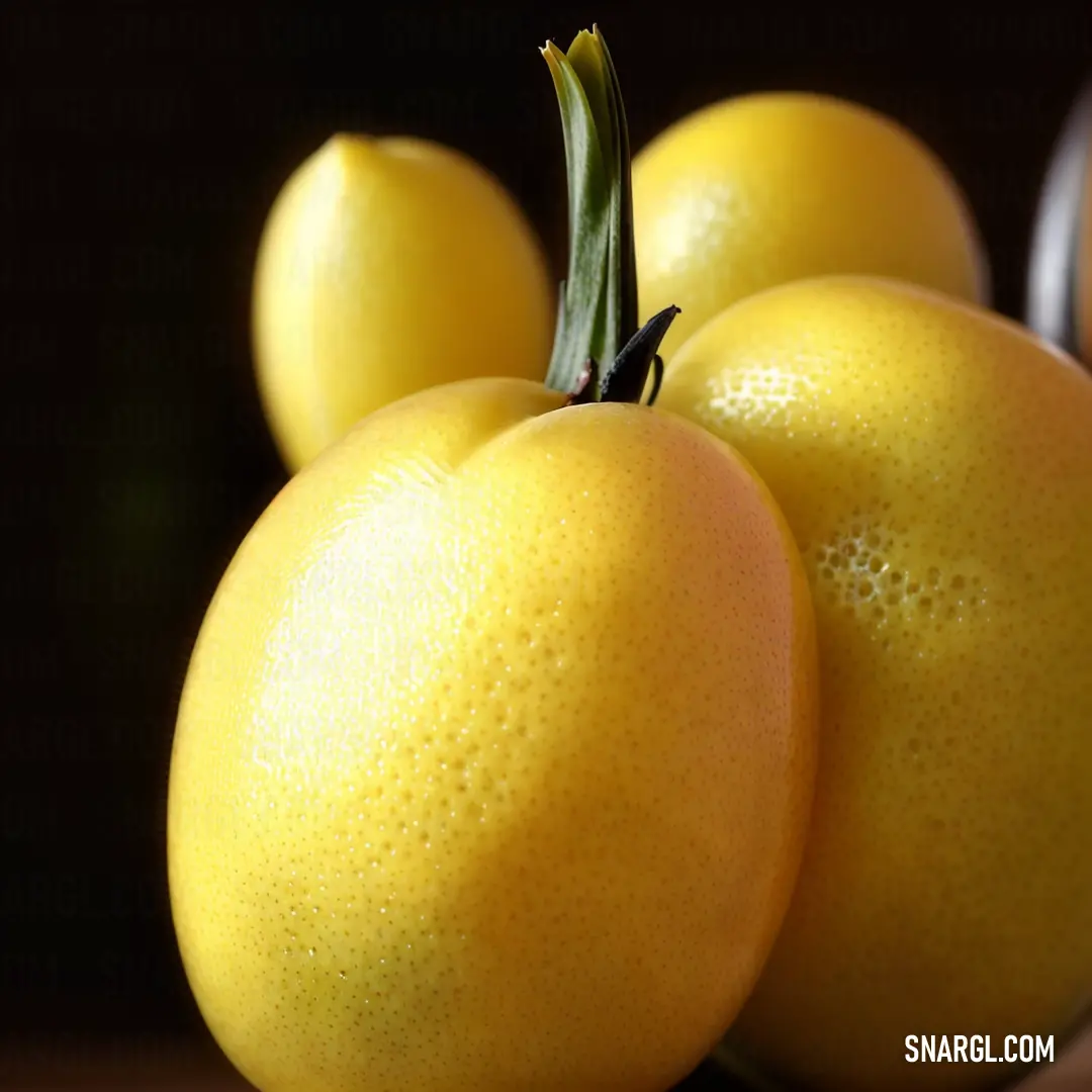 Close up of a bunch of oranges on a table with a black background and a green stem