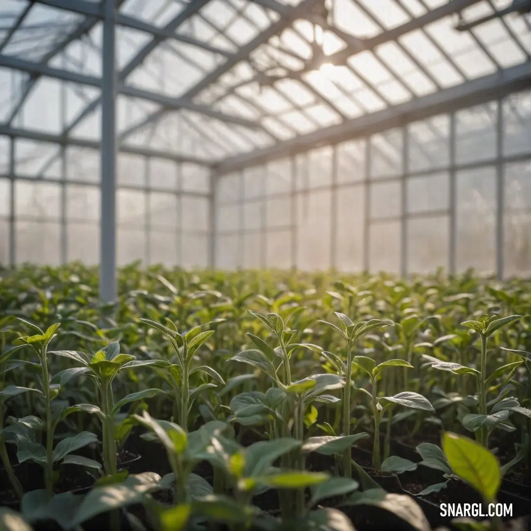 A thriving greenhouse filled with an abundance of vibrant plants, creating a lush oasis of greens and colors. This scene captures the harmony of nature and the joy of nurturing life.