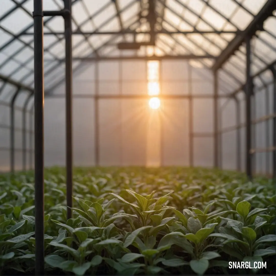 A vibrant PANTONE 139 color palette exemplified by a picturesque greenhouse, where sunlight streams through the glass windows, illuminating flourishing plants that stretch towards the light as if reaching for a warm embrace.