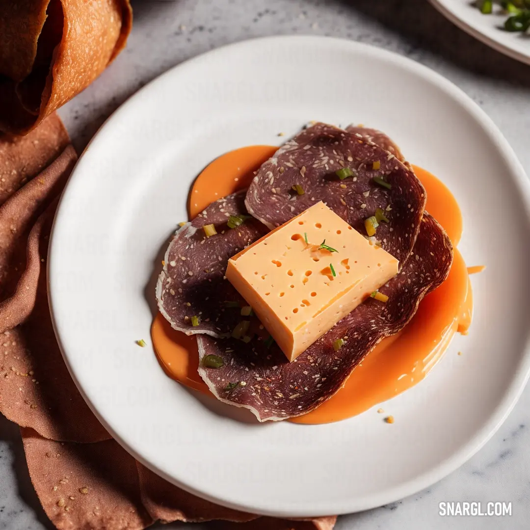 Plate of food with a piece of cheese on top of it. Example of PANTONE 1525 color.