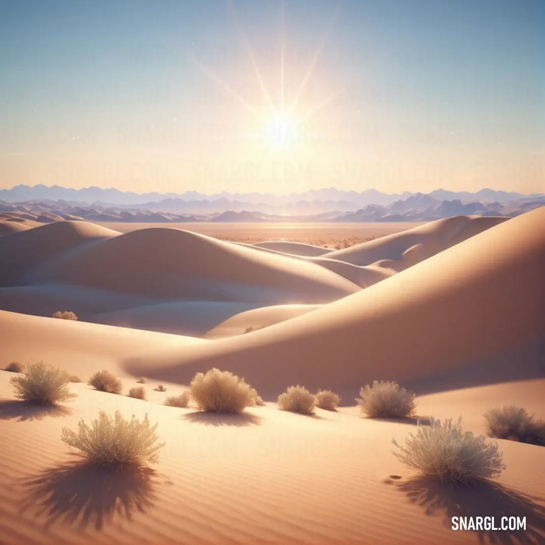 PANTONE 1565 color example: Desert landscape with a sun shining over the horizon and a few bushes in the foreground