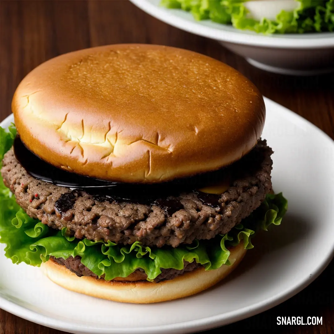 Hamburger with lettuce and a black sauce on it on a plate on a table with a salad