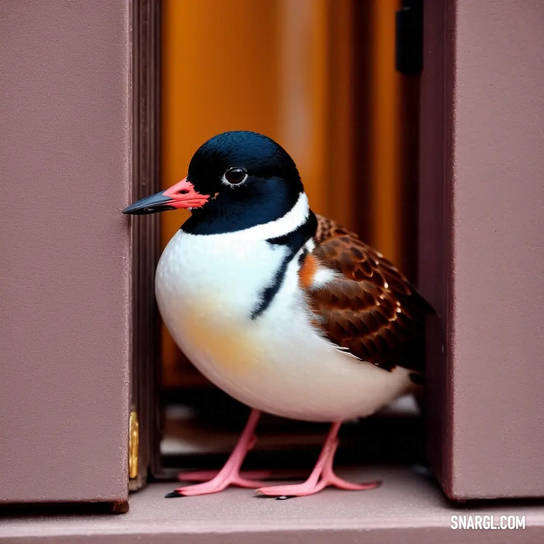 Bird is standing on a ledge outside a window with a pink frame and a brown and white stripe. Example of PANTONE 1615 color.