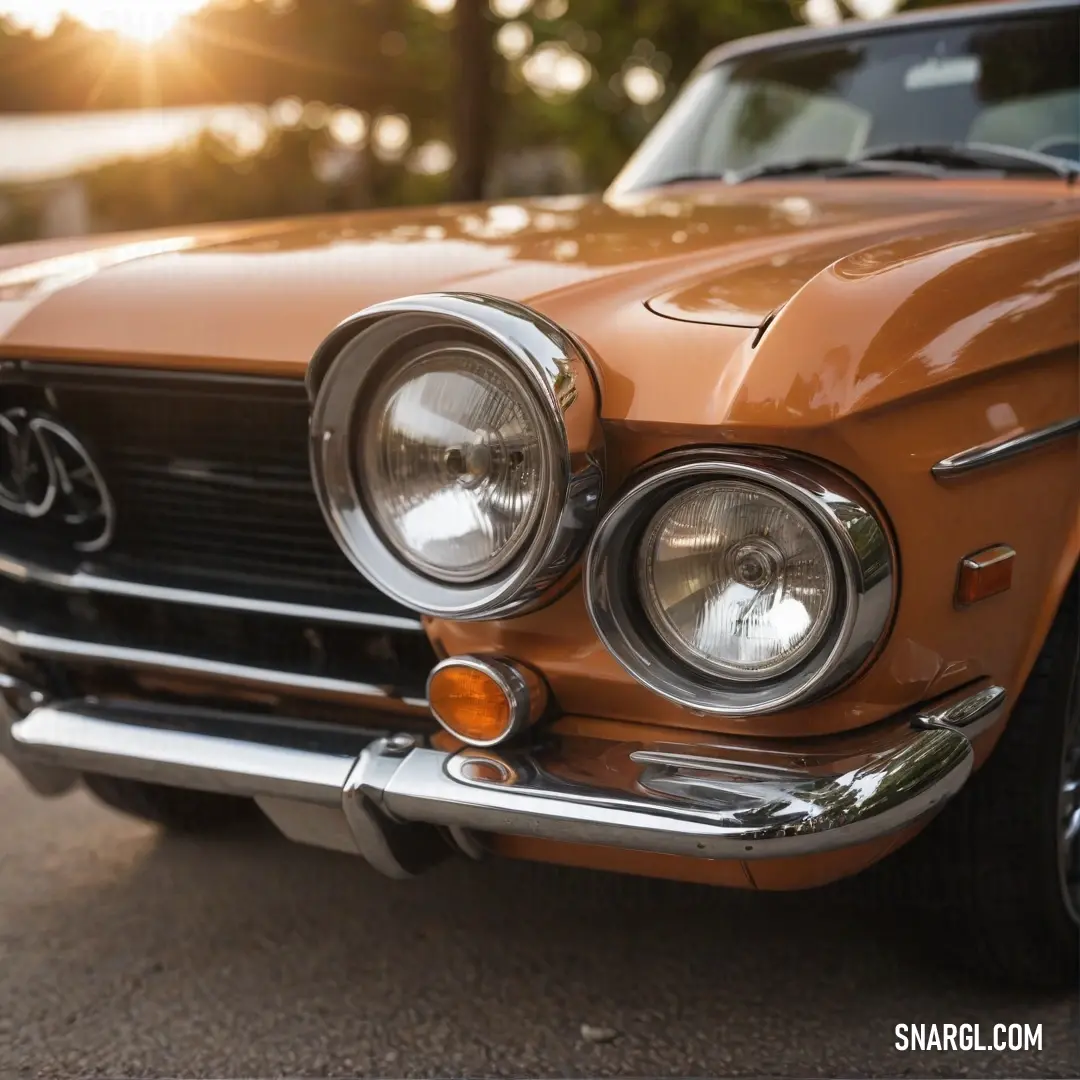 A captivating close-up of a sleek car basking in sunlight, with gleaming surfaces reflecting a soft, warm glow. The vibrant feel of PANTONE 164 imbues this image with a sense of vitality and energy, accentuating the car's design.