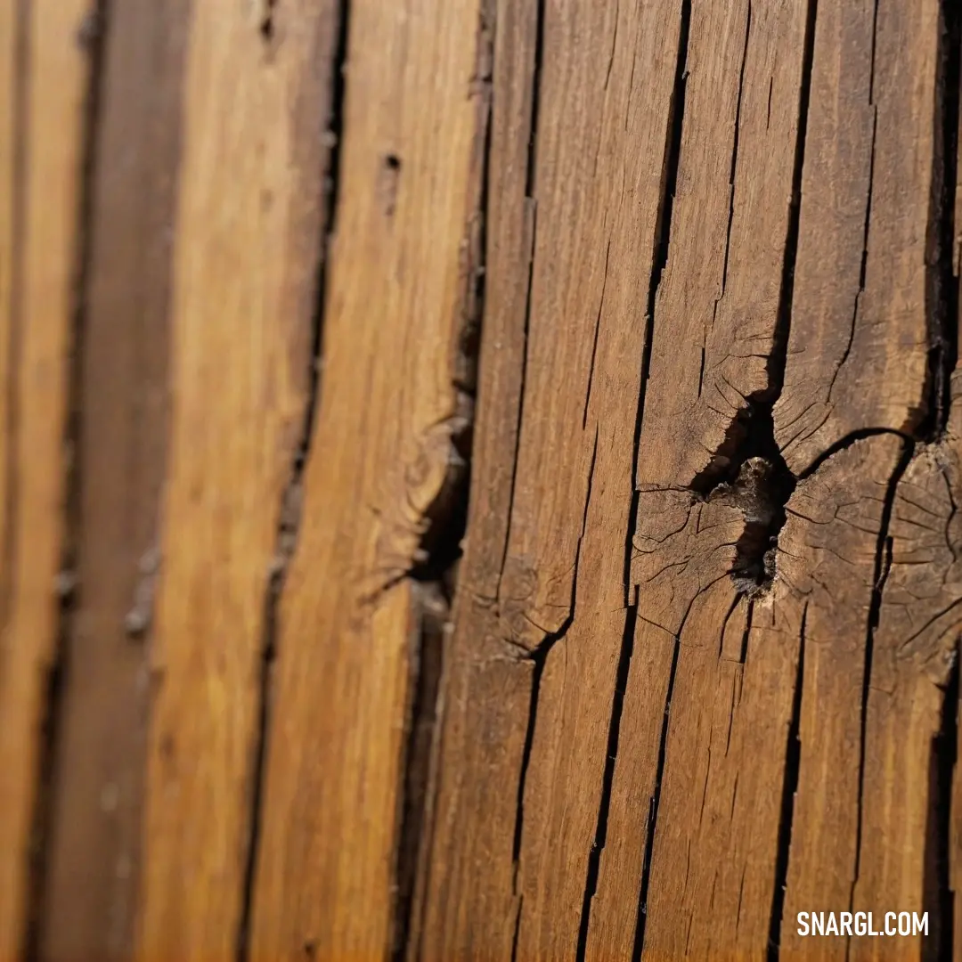 A detailed close-up of a rustic wooden fence features a curious bird perched on its side. The textures of the wood and the feathery softness of the bird create an inviting narrative that connects nature with craftsmanship.