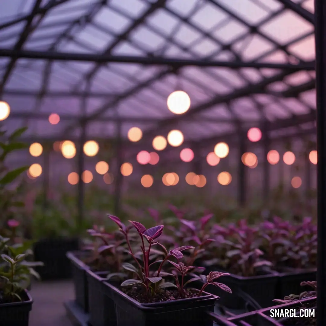 A lively nighttime scene captured inside a greenhouse, featuring flourishing plants under the enchanting glow of ambient lights. The vibrant PANTONE 164 color enriches the organic beauty, creating a feeling of tranquility.