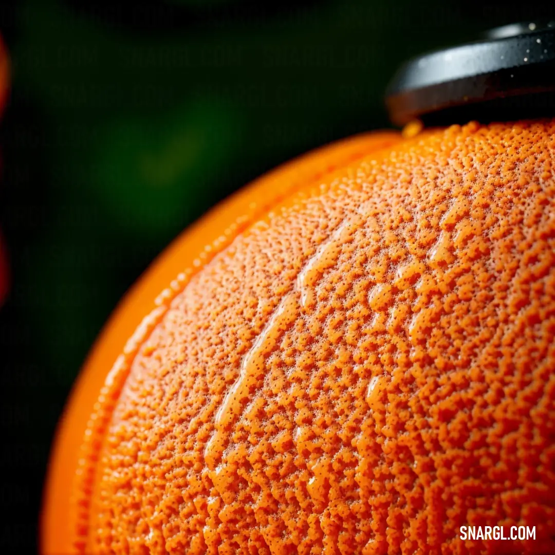 Close up of a orange with a black top and a green background