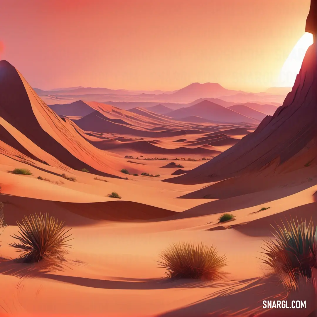 Desert scene with a sunset and a desert landscape with a desert landscape and a desert landscape