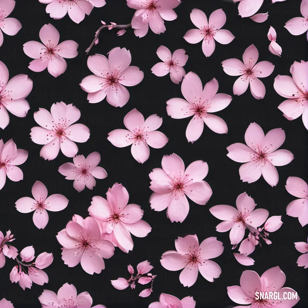 Bunch of pink flowers floating in the air on a black background