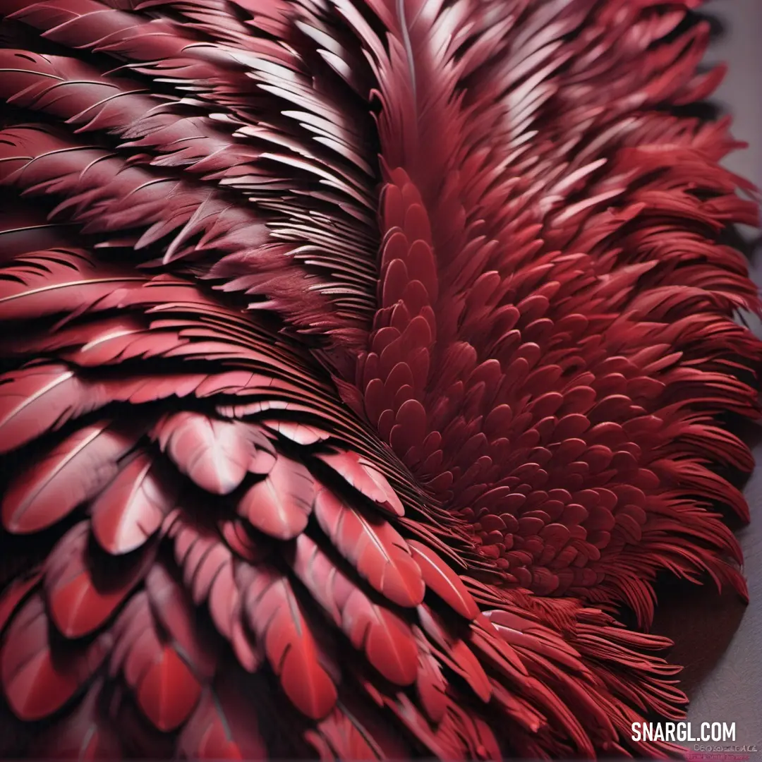 Close up of a red bird's feathers with a black background and a white border around it. Example of RGB 195,46,76 color.