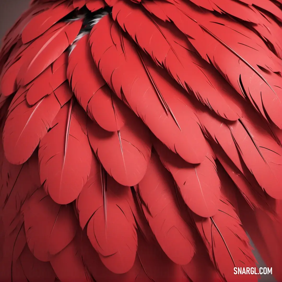 PANTONE 2032 color example: Close up of a red bird's feathers with a black background