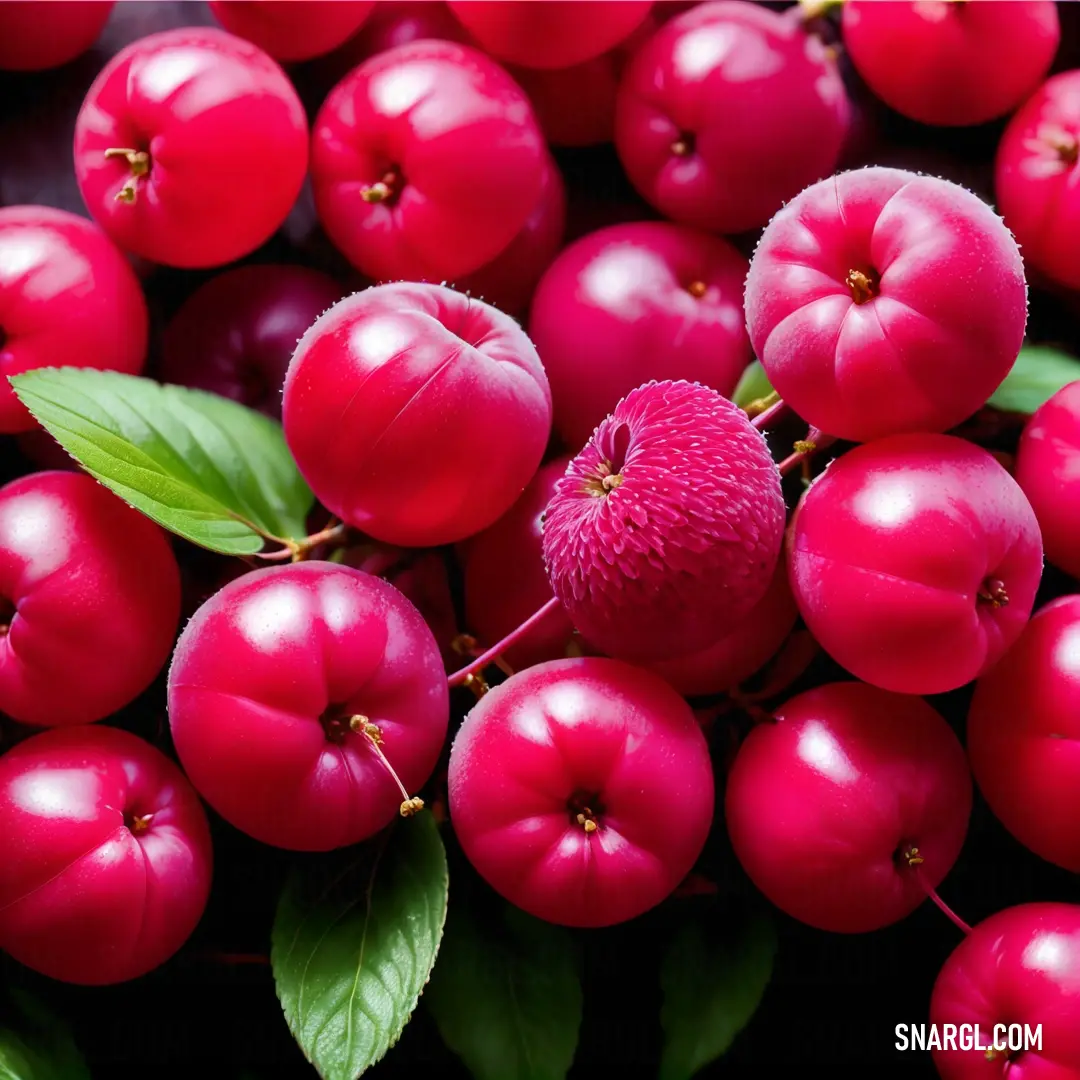 Bunch of red berries with green leaves on them and a pink flower in the middle of the picture