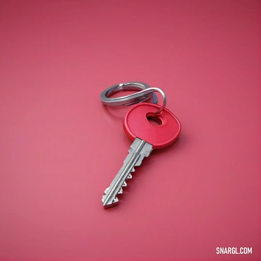 A vibrant red key sits against a soft pink background, creating an eye-catching contrast. The RGB 216,36,85 color palette adds a playful yet bold flair to the design, making this key a unique focal point.