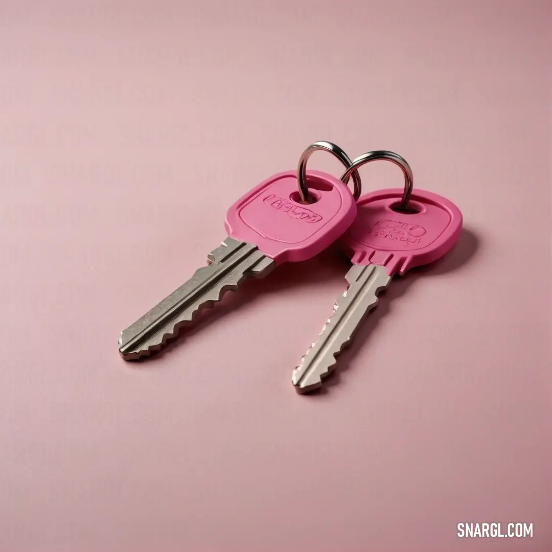 Two pink keys rest elegantly on a smooth pink surface, with one pair nestled together on a stylish key chain. This is a perfect example of the PANTONE 2060 color, radiating charm and simplicity.