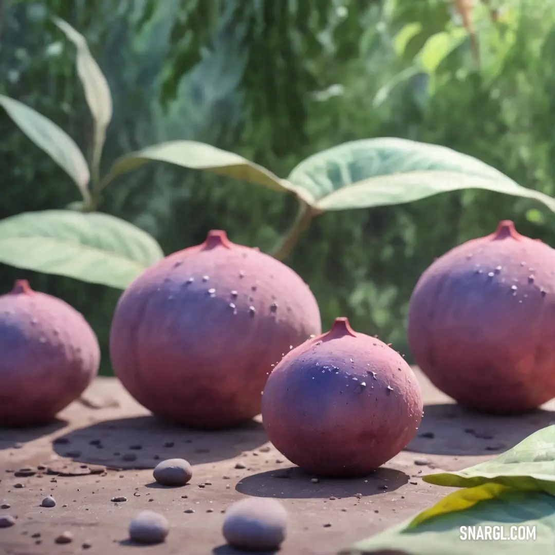 Group of fruit on top of a table next to leaves and rocks on the ground with water droplets on them. Color PANTONE 2066.