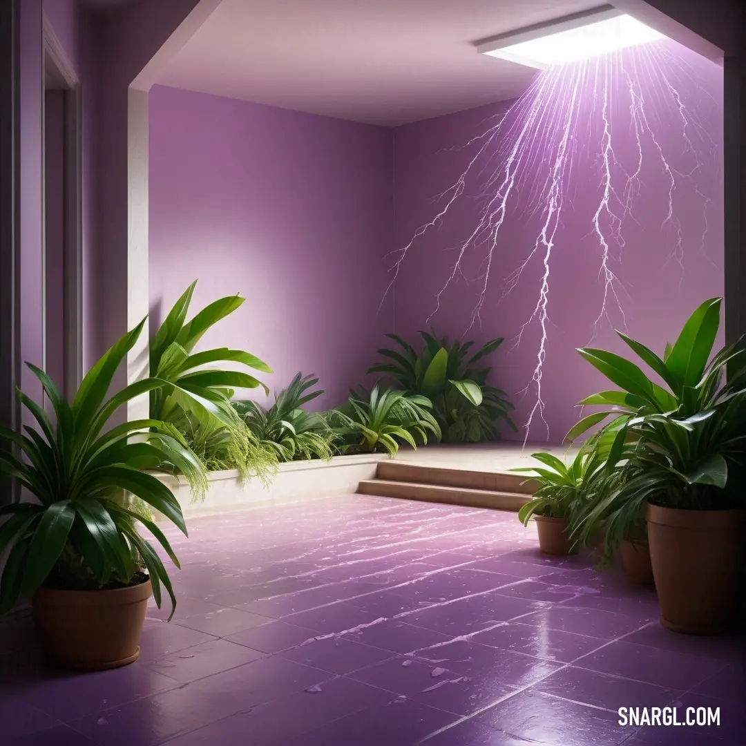 PANTONE 2069 color. Room with a purple wall and a purple floor with potted plants and a purple light coming from the ceiling