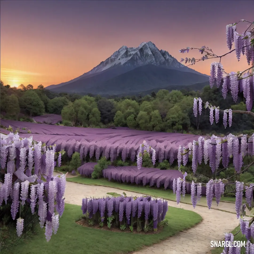 PANTONE 2076 color example: Field of flowers with a mountain in the background