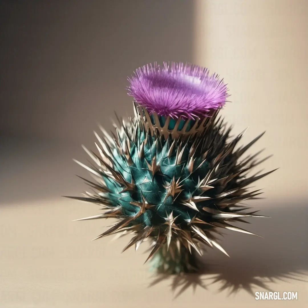 A striking cactus with purple and green spikes stands tall against a white background, showcasing nature's vibrant colors. The image is completed by a soft CMYK 9,16,0,0 tone, adding subtle depth to the scene.