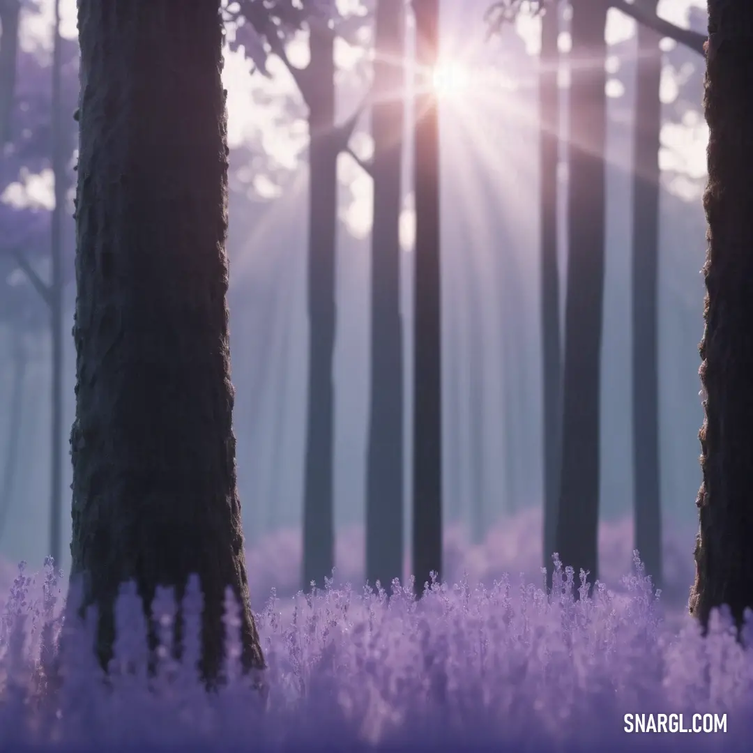 Forest with purple flowers and trees with the sun shining through the trees and the sun shining through the trees