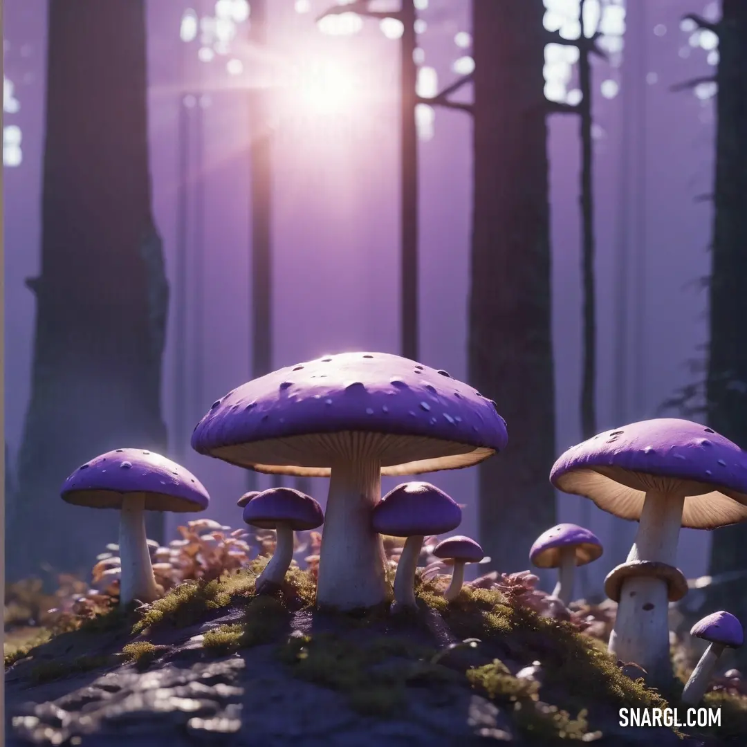 Group of mushrooms on top of a lush green forest floor next to a forest filled with trees. Example of RGB 94,81,148 color.