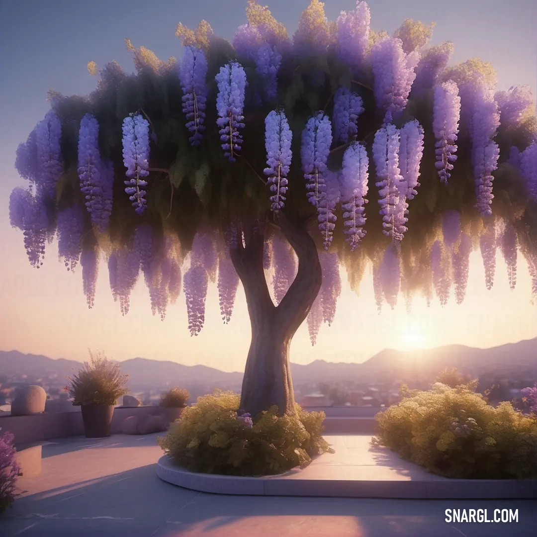 Tree with purple flowers in a garden at sunset or dawn with a sun setting behind it and mountains in the distance