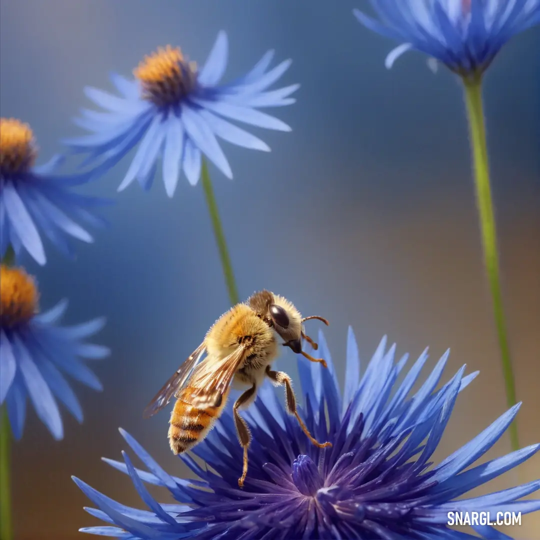PANTONE 2105 color example: Bee is on a blue flower with yellow tips and a blue background