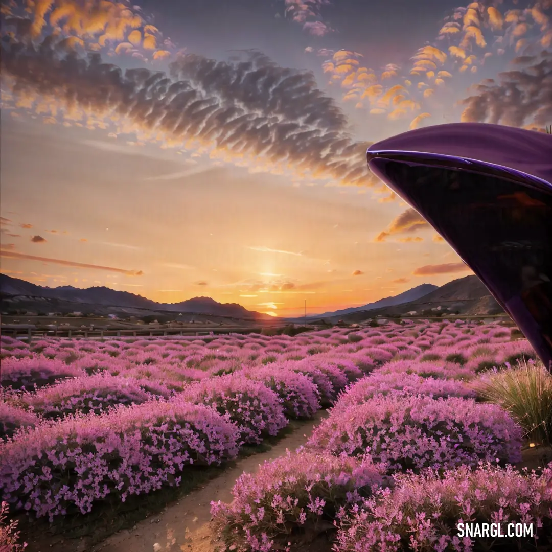 Field of flowers with a sunset in the background and a purple car in the foreground with a pink sky