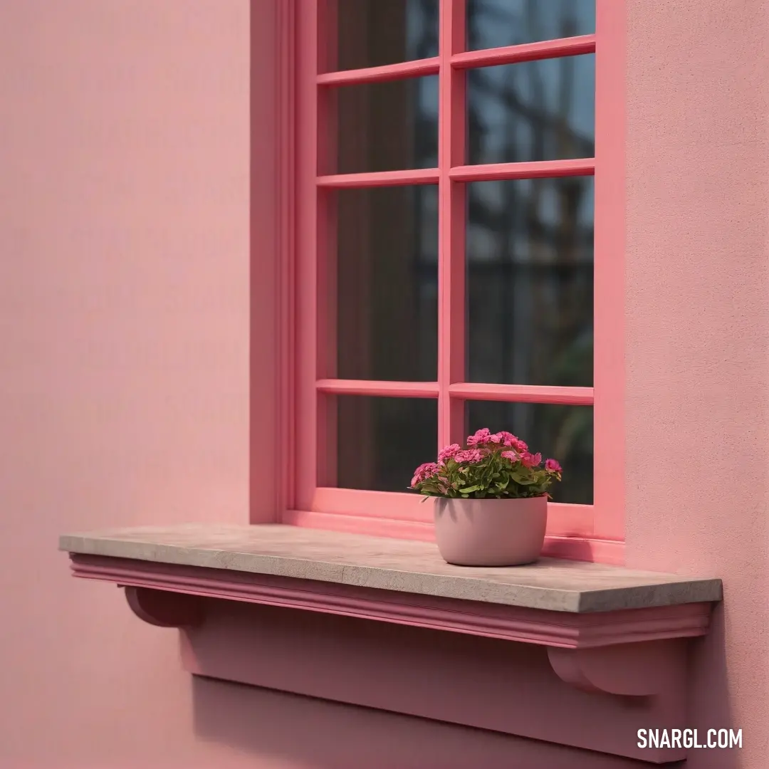 A vibrant potted plant perches gracefully on a window ledge, basking in the natural light that pours through the window. The surrounding pink walls create a warm, inviting atmosphere, making this corner a delightful spot of greenery.