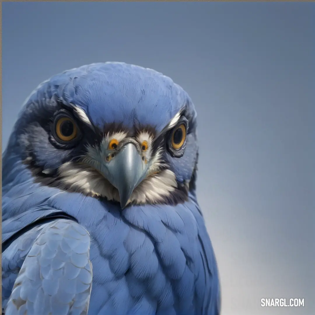 Blue bird with a white chest and yellow eyes is looking at the camera with a blue sky background. Example of CMYK 64,46,0,0 color.