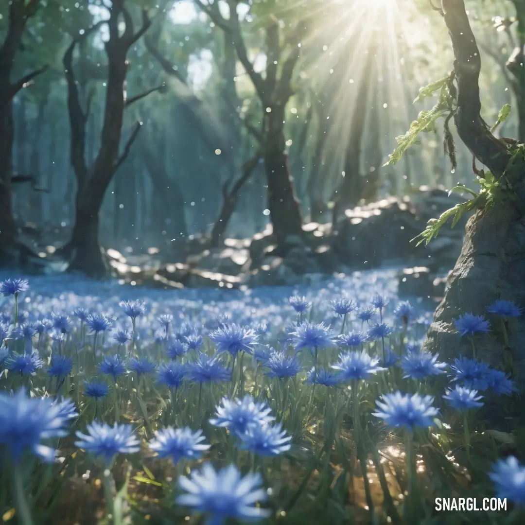 Field of blue flowers with the sun shining through the trees in the background. Example of #566EAC color.