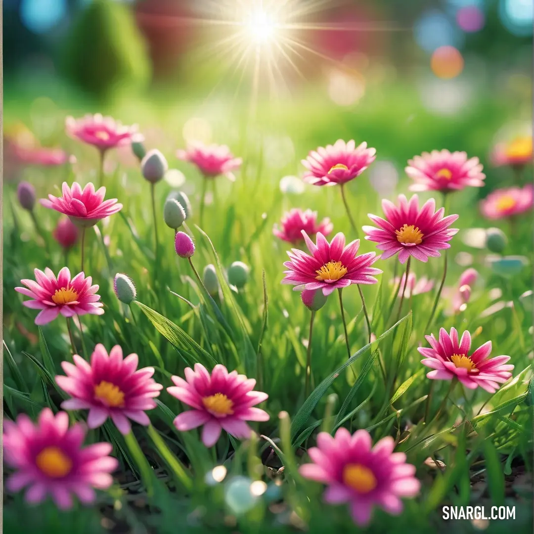 A breathtaking field of pink flowers stretches luxuriously under the sun, their vibrant colors creating a stunning contrast against the bright blue sky. The essence of nature's beauty radiates in every bloom.