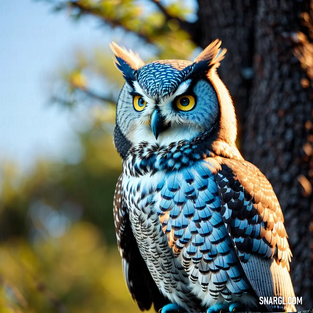 Blue and brown owl on a tree branch with a blue sky background. Example of RGB 133,184,223 color.