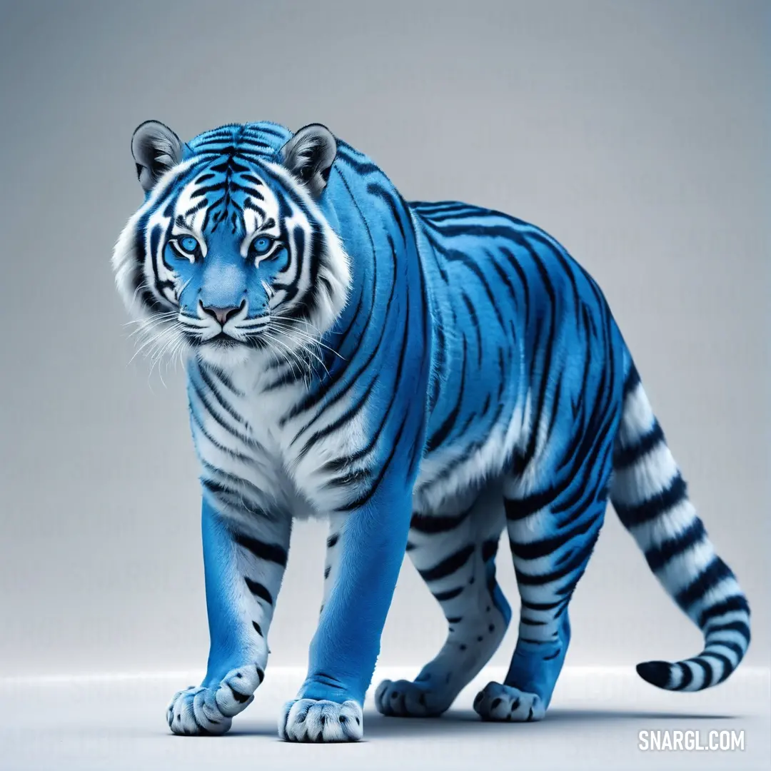 PANTONE 2143 color example: Blue tiger standing on a white surface with a gray background