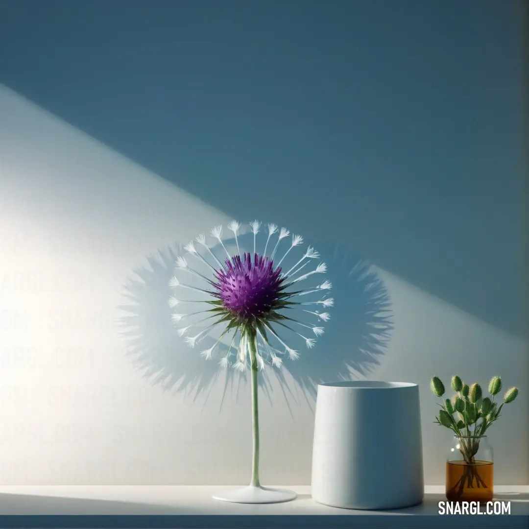 PANTONE 2162 color. Purple flower next to a white vase on a table next to a plant on a white shelf