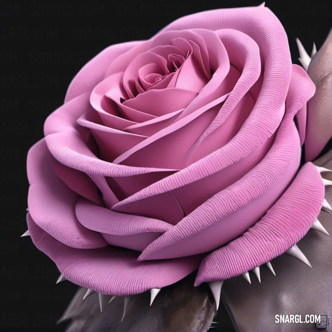 Pink rose with spikes on it's petals is shown in this image. Example of PANTONE 224 color.