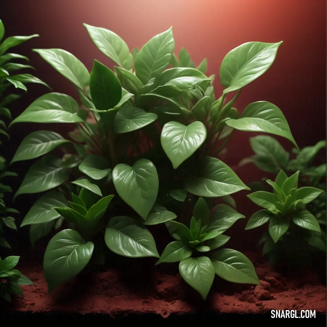 A close-up of a plant with rich green leaves and delicate stems stands out against a vivid red background. The plant's natural texture contrasts beautifully with the bold backdrop, creating an elegant yet striking visual.