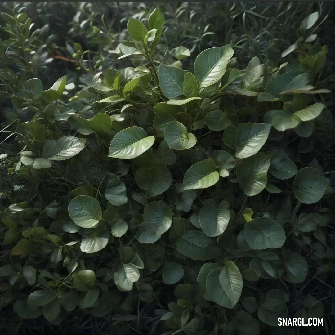 A bush with lush green leaves basks in the sunlight within a garden. The vibrant greenery contrasts against the wooden fence and surrounding bushes, capturing the essence of a peaceful, sunlit outdoor space.