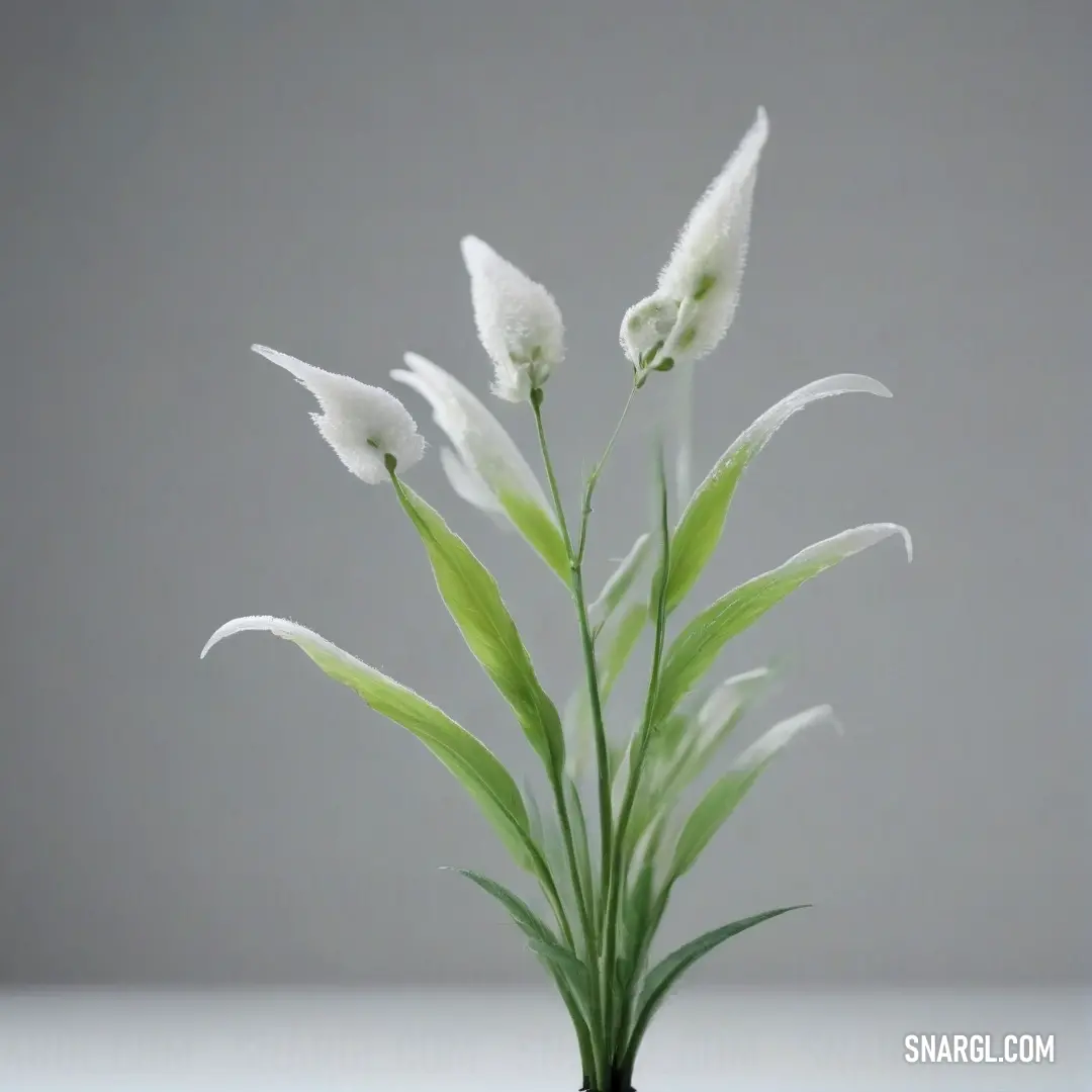 A beautiful white flower gracefully perched in a vase on a tabletop, complemented by green stems and set against a soft gray background, embodying a minimalist elegance.