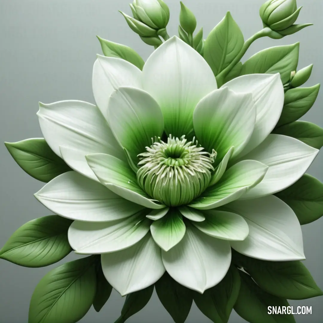White flower with green leaves on a gray background. Example of #99BE8A color.
