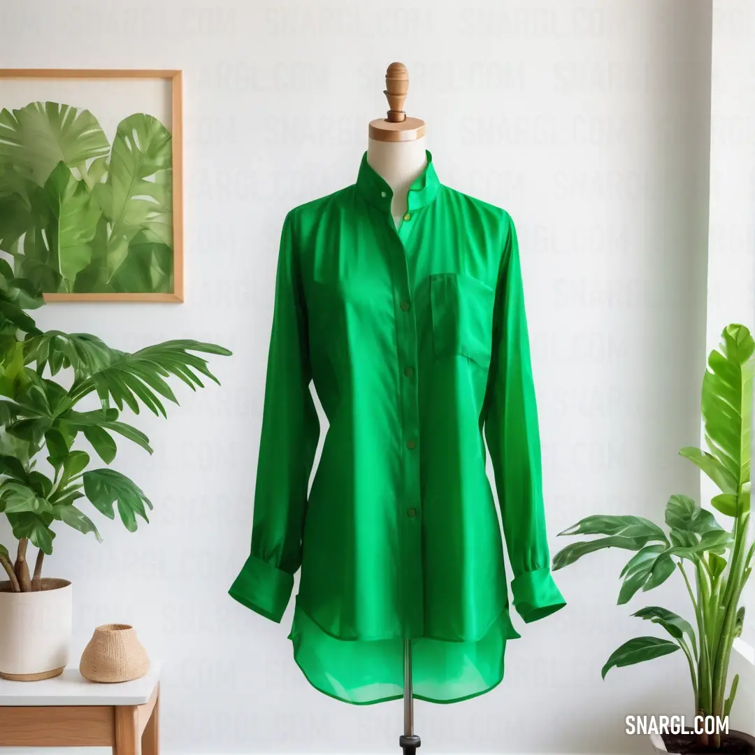 Green shirt is on a mannequin in a room with potted plants and a potted plant. Color RGB 25,153,59.
