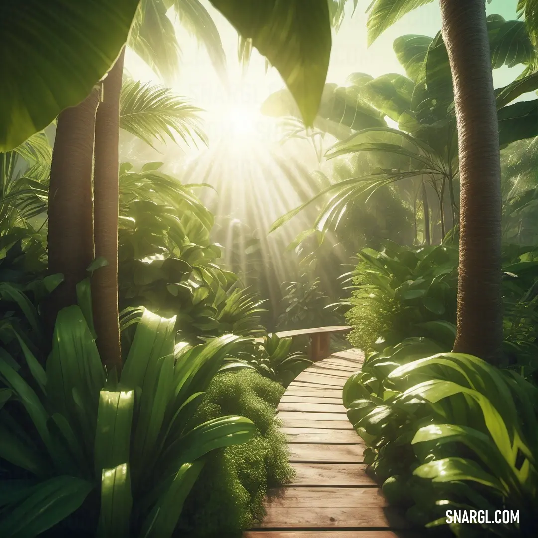 Wooden walkway surrounded by lush green plants and trees with the sun shining through the trees in the background