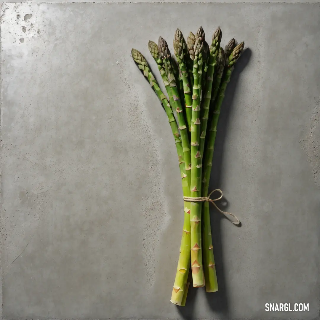 A whimsical display of PANTONE 2296 featuring a bunch of asparagus tied with string, elegantly hung on a wall, accented by a charming piece of paper that adds to its playful allure.