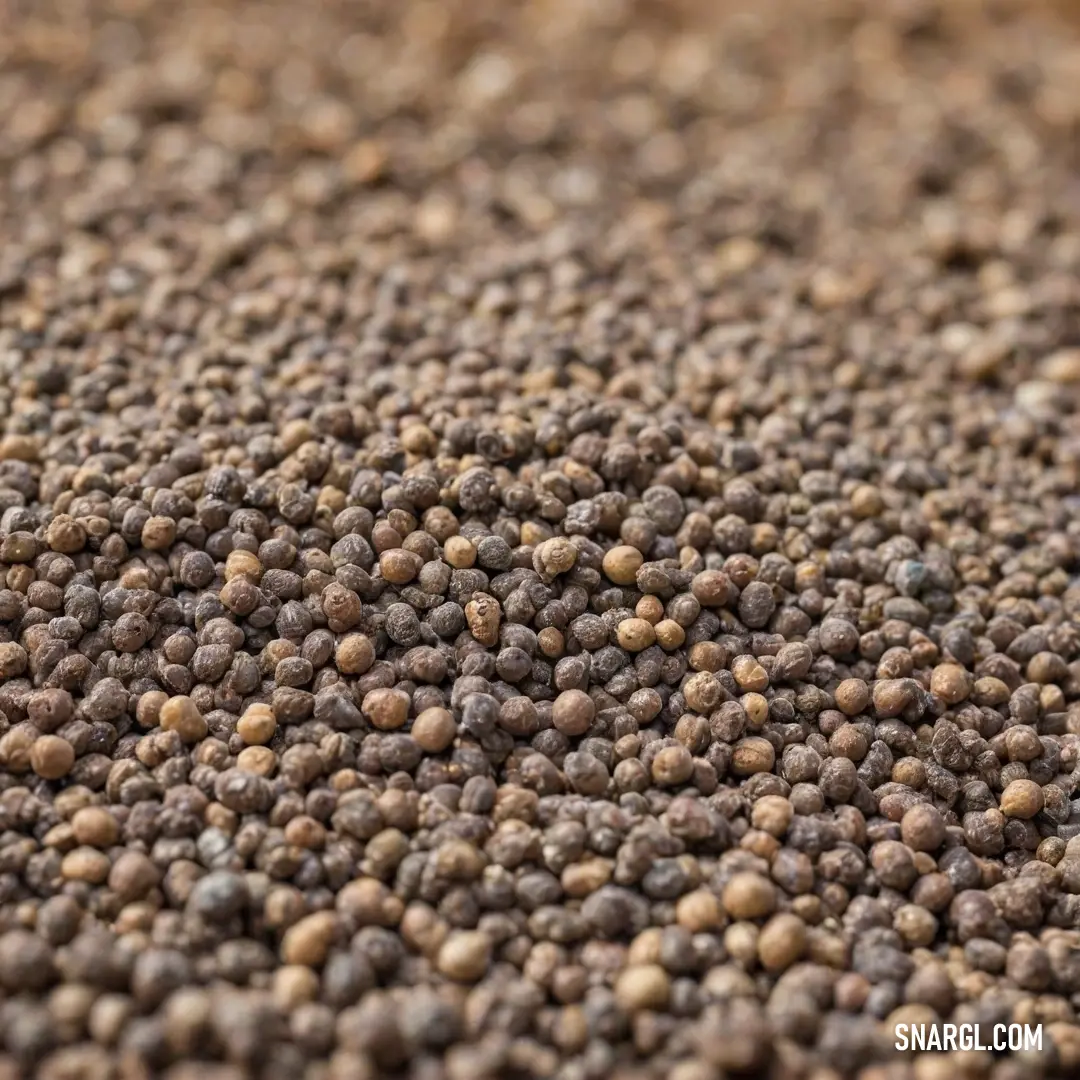 A beautifully detailed close-up reveals small brown seeds scattered across a wooden tabletop, inviting the eye to explore their textures and colors that evoke natural simplicity in a cozy setting.