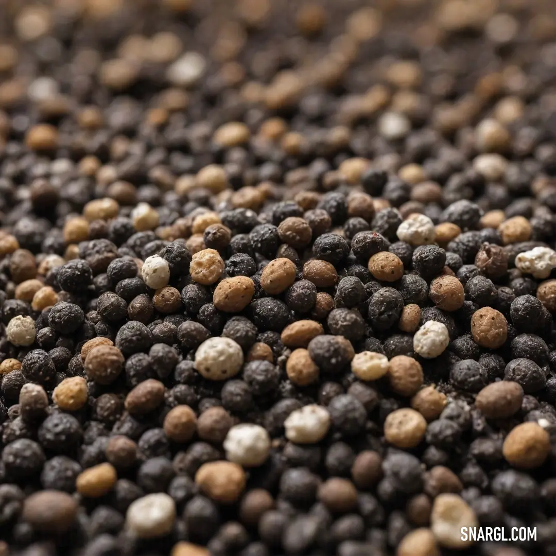 A detailed view of a mixture of black and white peppercorn seeds, intricately displayed on a surface. Their rich textures and contrasting shades create a visual feast that awakens the senses.