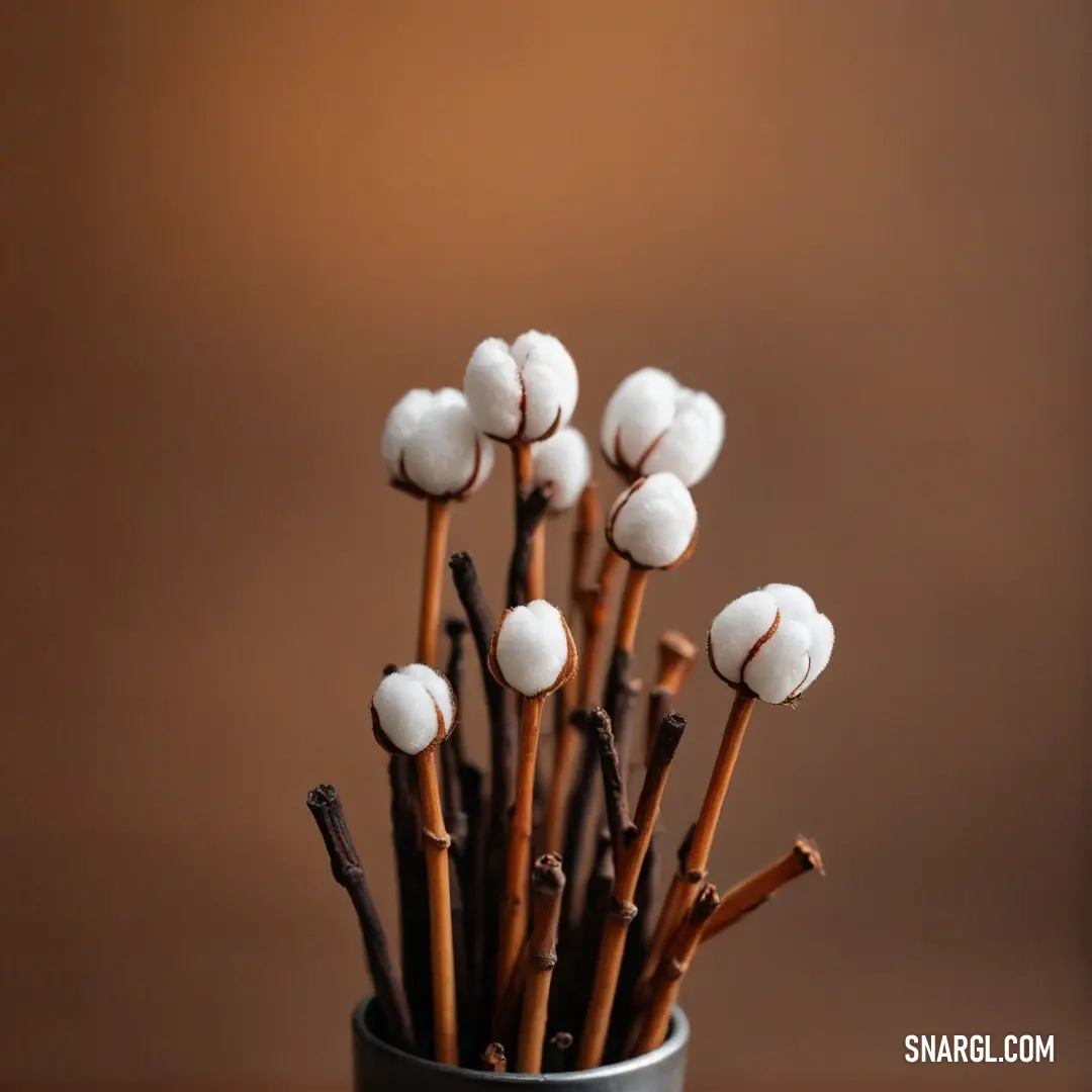 A charming cup brimming with fluffy cotton balls and wooden sticks sits elegantly on a table next to a subtle wall. The textures and colors merge harmoniously, creating an inviting and creative display.