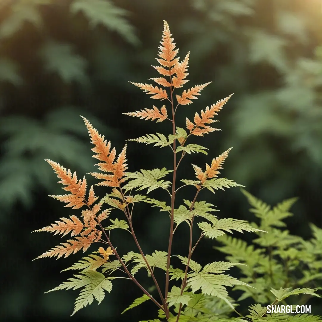 A vibrant plant with fiery orange leaves stands out against a lush green forest backdrop, showcasing the striking PANTONE 2296 color. The contrast between the plant and the surrounding greenery is visually captivating, highlighting the beauty of nature.