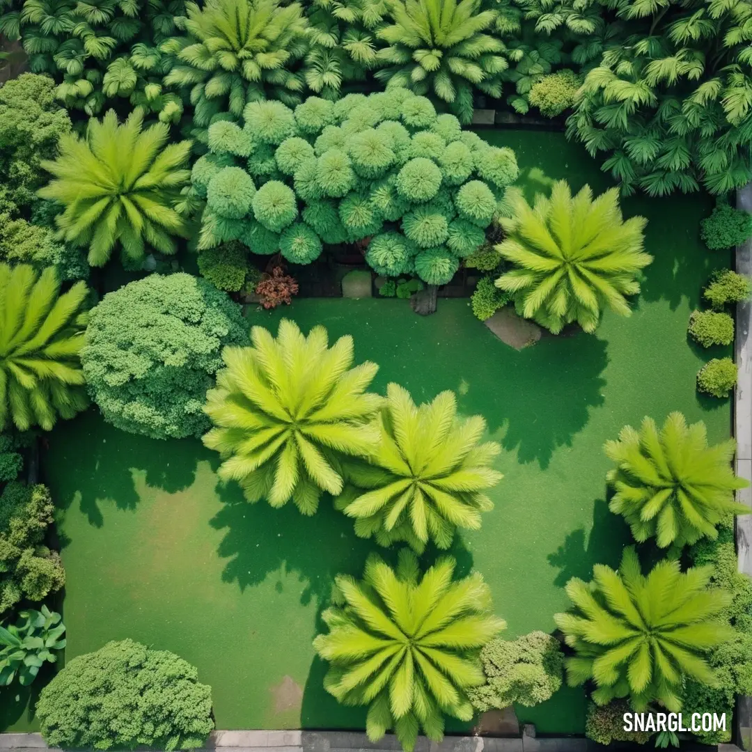 Green area with trees and bushes in it, from above. Example of CMYK 40,0,89,0 color.