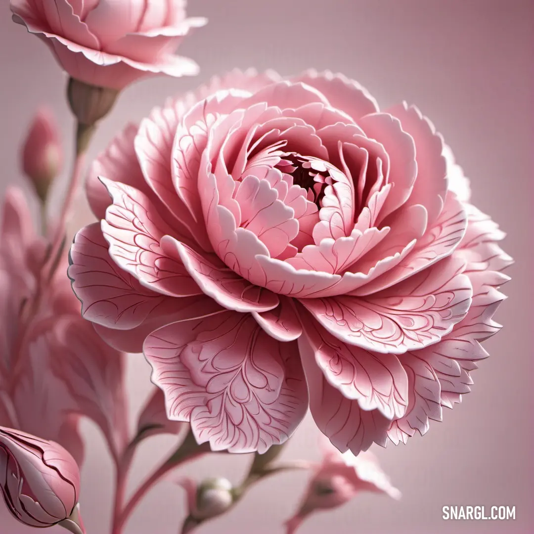 PANTONE 232 color example: Pink flower with a pink background