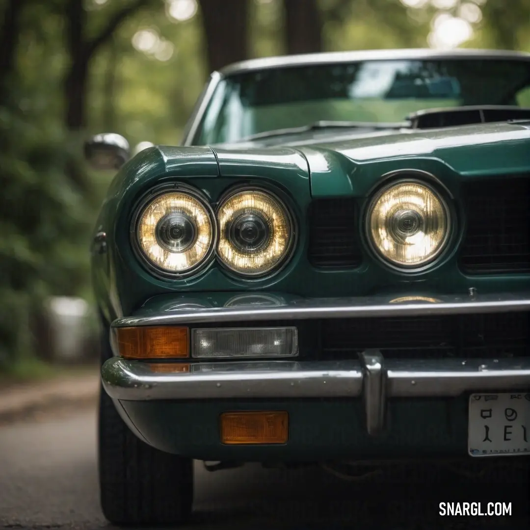 A lush scene featuring a green car parked on a tranquil street, its headlights shining against a backdrop of dense woods; the rich color #756645 adds depth and intrigue to the composition.